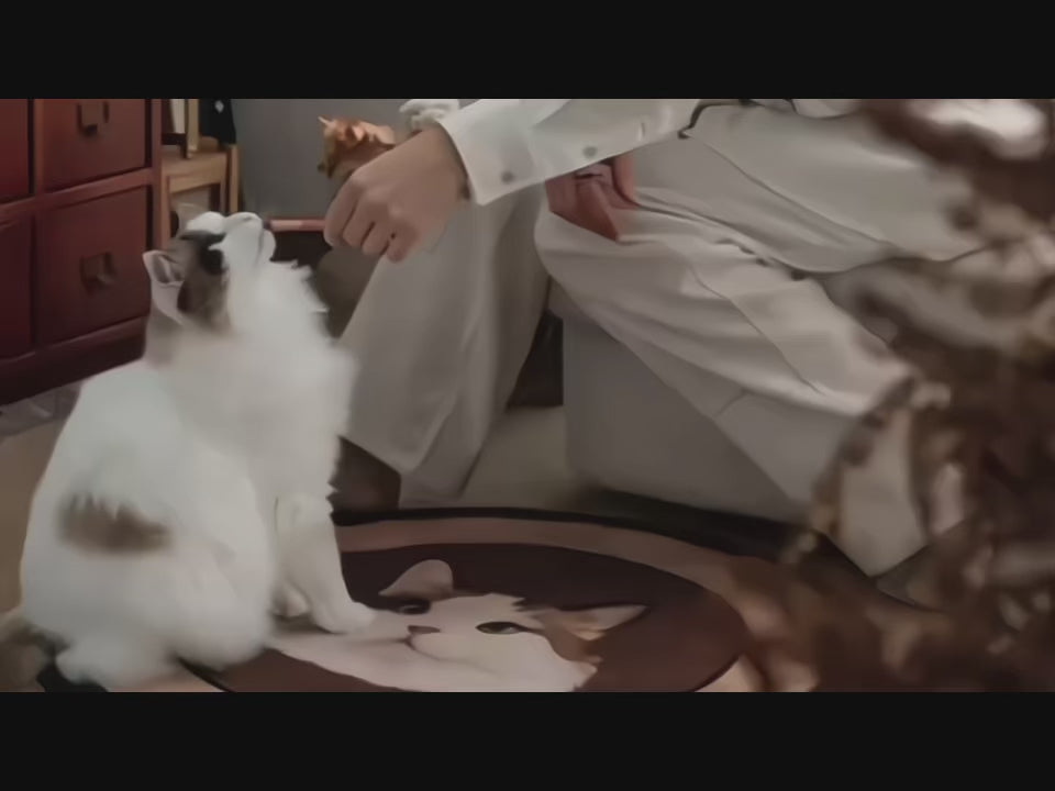 Load video: 